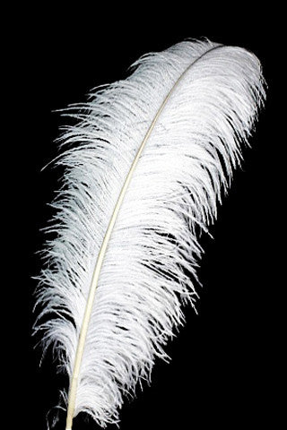 Feather 65-70 cm - Ostrich (White)