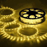 10m LED Rope Light - Various Colours