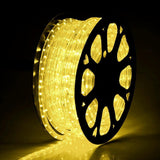 10m LED Rope Light - Various Colours