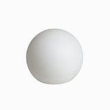 LED Mood Light Ball 30CM DC Power