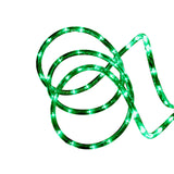 10m LED Rope Light - Various Colours