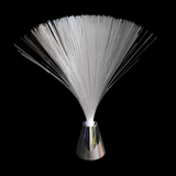 Fibre Optic Lamp