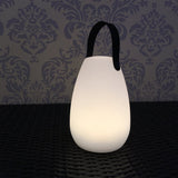 LED Table Lamp with handle