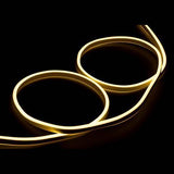 10m Non-Neon Flexi-Light (Various Colours)