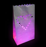 Luminary Bags (LED Tea Candles Sold Separately)