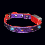 Flashing Dog Collar - Small