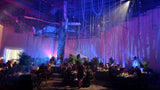 EVEF-50Z - Chauvet DJ LED Fresnel