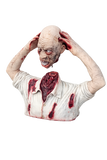 Hire - Severed Bust Horror Halloween Prop Melbourne