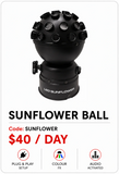 Hire - Sunflower Ball