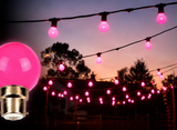 HIRE - Festoon 25m PINK Globes