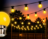 HIRE - Festoon 25m YELLOW Globes
