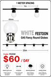 HIRE - Festoon 25m WHITE Globes
