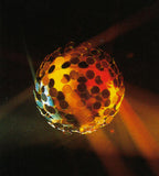 Hire - Clay Paky Vibrosphere Mirror Ball