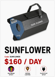 HIRE - Sunflower Vintage Light