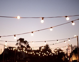 HIRE - Festoon 25m WARM WHITE Globes
