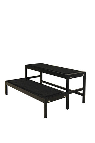 Portable Stage Step