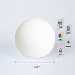 LED Mood Light Ball 30CM Solar+DC Power
