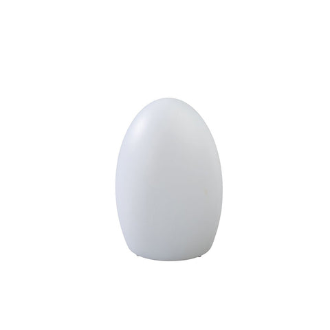 LED Egg Lamp